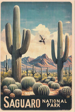 Saguaro National Park Arizonia Art Poster Postcard picture
