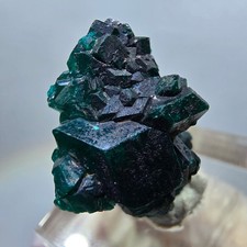 Rare Dioptase XX stage, green, Republic of Congo, 24*18*12mm picture