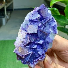 219G Natural Purple 