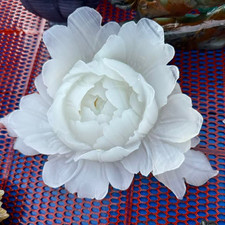 1pc Natural Afghan jade Quartz Carved Flower Skull Crystal Reiki Healing Decor picture