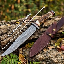 14-inch Bowie Knife Damascus Steel Fixed Blade Full Tang Stag Antler Handle picture