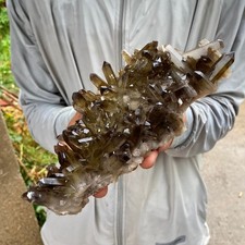 1.45LB Natural smoky black quartz cluster crystal mineral specimen healing picture