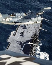 Curtiss SB2C-3 Helldiver landing on USS Hornet 8x10 WWII Color Photo 811 picture