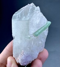 586 Carat Tourmaline Crystal On Quartz Specimen From Afghanistan picture