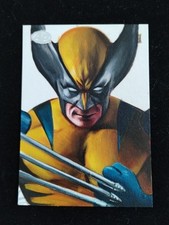 2022 Upper Deck Marvel Unbound Year 2 AP Sketch fred.ian Fred Ian Wolverine picture