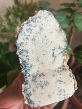 NATURAL DENDRITIC ROUGH – 780 GRAMS – TURKEY – LAPIDARY & COLLECTOR SPECIMEN picture