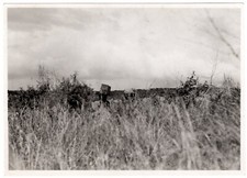 RARE 1933-1934 African Safari Photograph Taken & Annotated by Ernest Hemingway picture