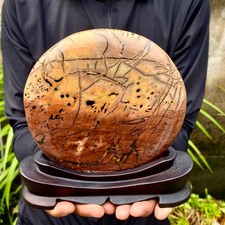 2.22LB Beautiful Natural Chinese Dendritic Limestone Picture Stone Guohua-Rare picture