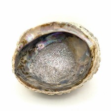 Vintage Large Abalone Dish Natural Sea Shell 6 X 6 Inch Trinkets Soap Dish picture