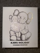 KAWS: HOLIDAY CHANGBAI MOUNTAIN (Brown) 100% Authentic w/ RFID verification picture