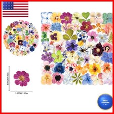 Loerykt 50PCS Flower Stickers PET Transparent Floral Stickers Colorful Nature picture