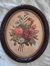 Antique Botanical Flower Print In Oval Frame  picture
