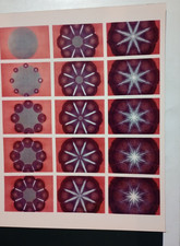 Rare 1964 Original Science Research Photo - Symmetry & Interference Patterns picture