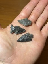 3 Nice Southeast Arrowheads Bird Points Bolen Artifacts picture