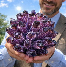 2lb+Large Dark Purple Amethyst Geode Cluster Natural Quartz Crystal Healing Deco picture