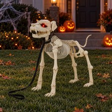 5 FT Animated Dog Skeleton Halloween Decoration 2026 picture