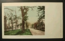 1900s Oglethorpe Ave. Savannah GA UDB Detroit Publishing Postcard Georgia Unused picture