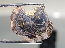 NWA 14560, Pallasite, 4.16g, meteorite fragment lightly polished window picture