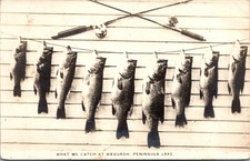 RPPC Wequash Peninsula Lake Fishing Catch Vintage Postcard 4P24-32 picture