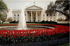 Vintage White House Postcard: Spring Tulips & Hyacinths picture