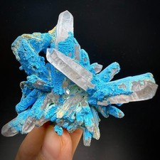 45g Natural brightly colored blue Hemimorphite based on quartz mineral specimen picture