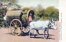 MADRAS - A Bullock Bandy Postcard - Chenai - India picture