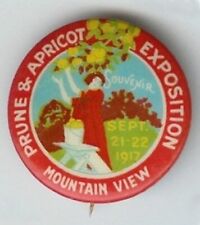California Souvenir Pinback Prune & Apricot Mountain View 1917 Antique #3 Pin picture