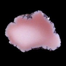 Fine Polished Datolite Nodule half - Caledonia Mine, Michigan picture