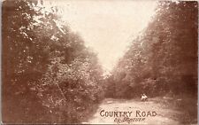 1910 Country Road By Scheuer Vintage Postcard L62 picture