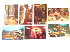 California Redwoods Postcards - Lot of 7 Unused picture