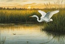 Great Egret in Flight - Audubon-Style Engraved Wall Art Print picture