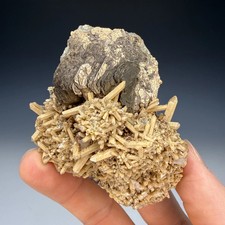 Pyrrhotite, Quartz, Pyrite, Calcite, Nikolaevskiy Mine, Dalnegorsk, Primorsky picture