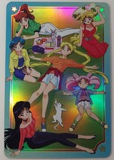 Sailor Moon Card Guardian Group Picnic Holo Effect Collector Anime Card picture