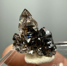 Herkimer Diamond Perched on Rare Black Druze, Gem Points w/ Phantoms picture