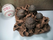 Natural MOQUI MARBLES aka SHAMAN STONES on eroded NAVAJO SANDSTONE Display Piece picture