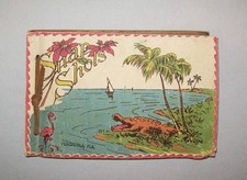 Old Antique Vtg 1930s Photo Album Florida Snapshots Great images Untouched Nice picture