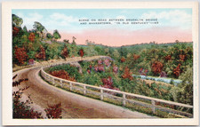 Scene On Road Between Brooklyn Bridge And Shakertown In Old KY Postcard P-158 picture