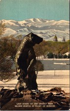 1948 Denver Museum of Natural History Last Stand Grizzly Bear Statue Postcard picture