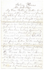 1869 Salina Kansas Recent Immigrant Building Homesteads 4 Pg Letter Transcribed picture