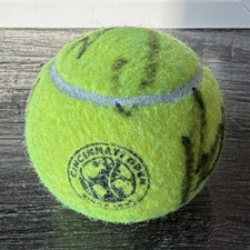 Carlos Alcaraz Taylor Fritz Holger Rune Hand Signed Tennis Ball Autos,Cincy 2025 picture