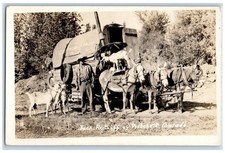 c1940's Jack Ratliff Of Pritchett Colorado CO, Donkeys Goat RPPC Photo Postcard picture