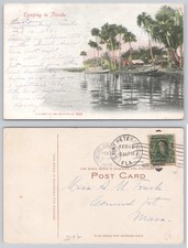 1908 St. Petersburg Florida Camping Scene Postcard L.C. Kropp Co. Posted picture