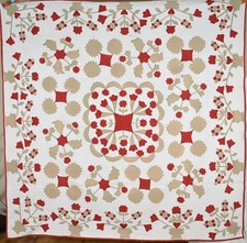 Vintage 1870's Album Floral Medallion Applique Antique Quilt ~DENSE QUILTING picture