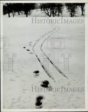 1956 Press Photo Track pattern left by a boy with carrying a sled in Leavenworth picture