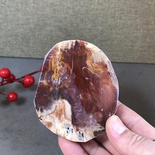 92mm natural Beautiful Petrified Wood Crystal Slice mineral specimen 266g A5424 picture