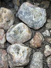 HUGE Lot Lake Superior & Other Agate Collection 25lbs picture