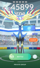 ⚔️ 5x Xerneas Remote Raid Invites – Pokémon Go | Fast Delivery 🚀 picture