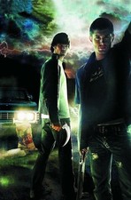 Supernatural: beginning's end picture