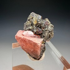 Rhodochrosite, Tetrahedrite, Sweet Home Mine, Alma Mining Dist., Park Co. picture