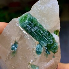 342G Natural green tourmaline quartz crystal cluster mineral specimen picture